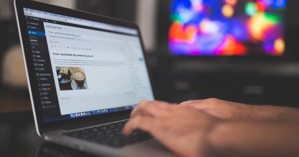 Choose a Profitable Niche